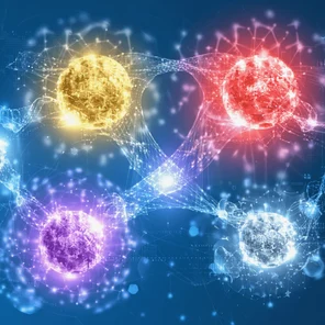 Сигнал "Антиоксиданты"